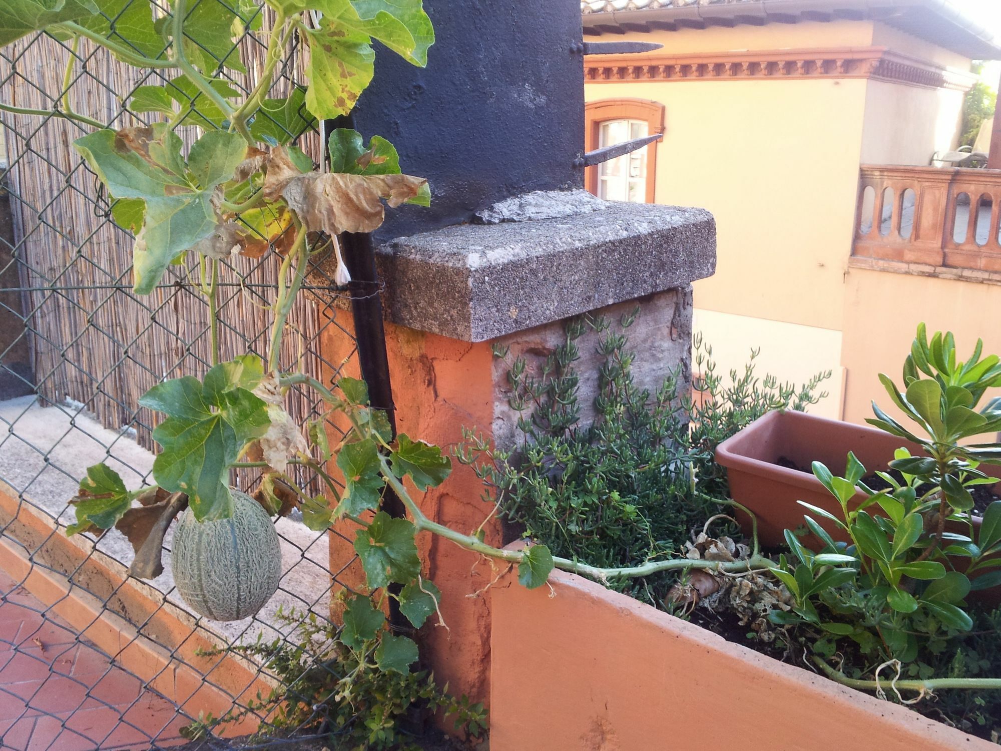 Al Giardino Di Alice Bed & Breakfast Perugia Bagian luar foto